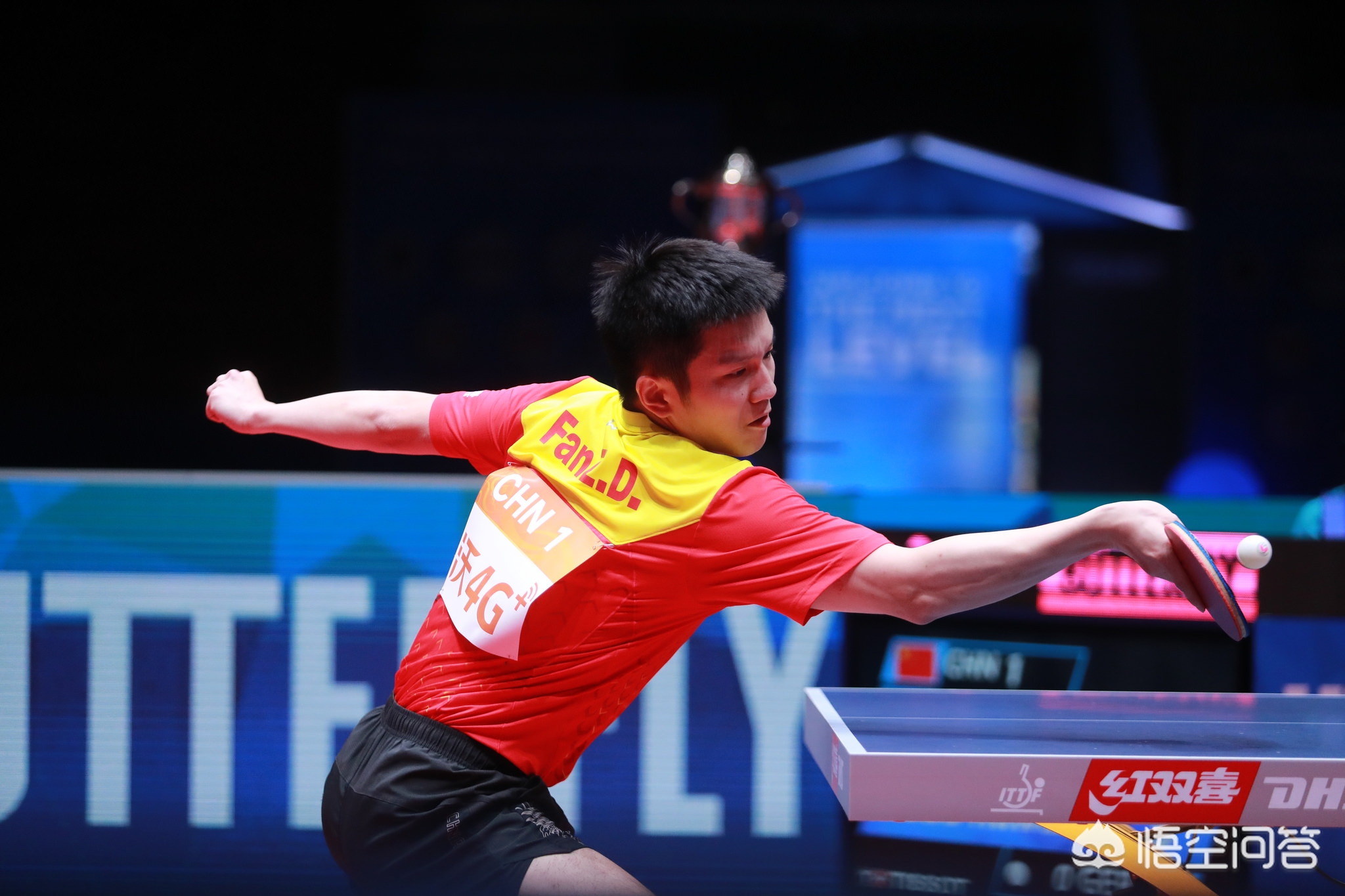 场的走向 场的走向