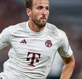 23引入迈 23引入迈